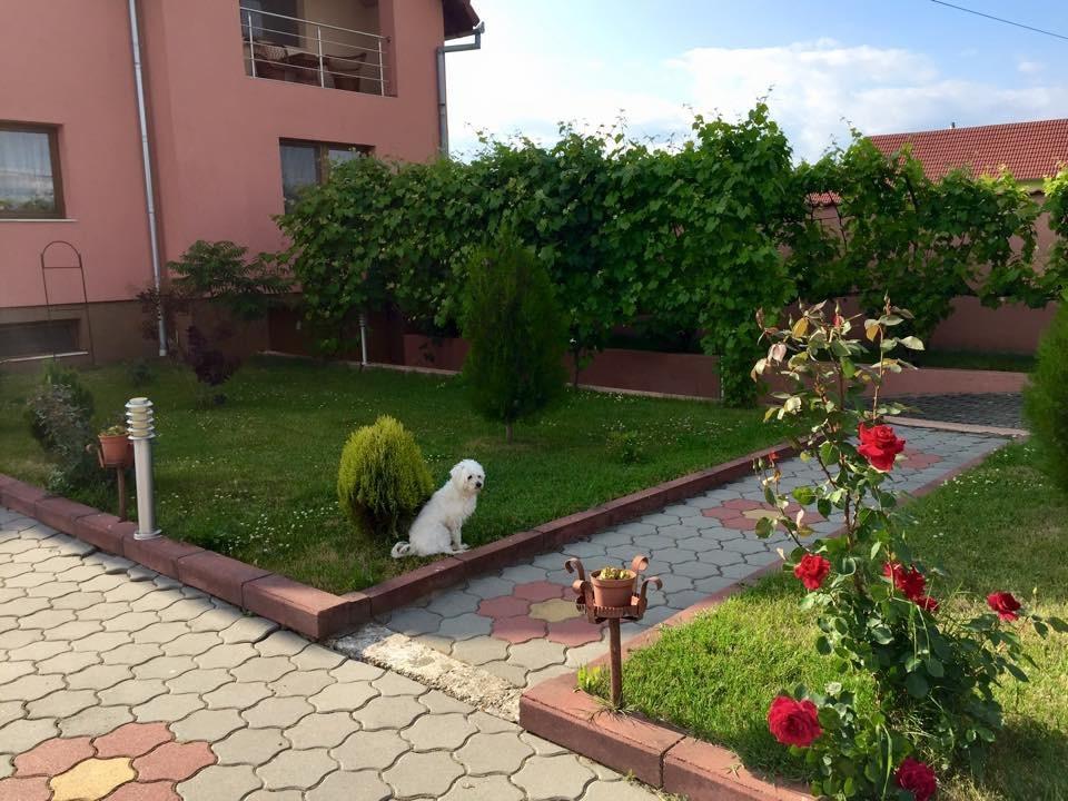 Vila La Izvor Petresti Exterior foto