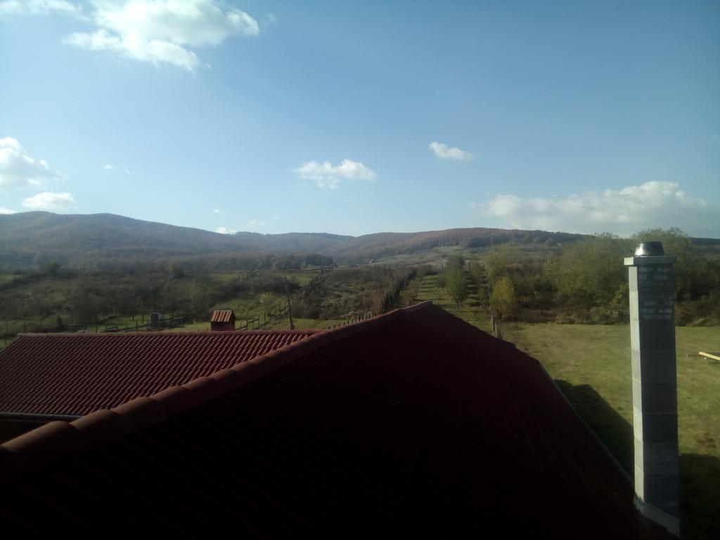 Vila La Izvor Petresti Exterior foto