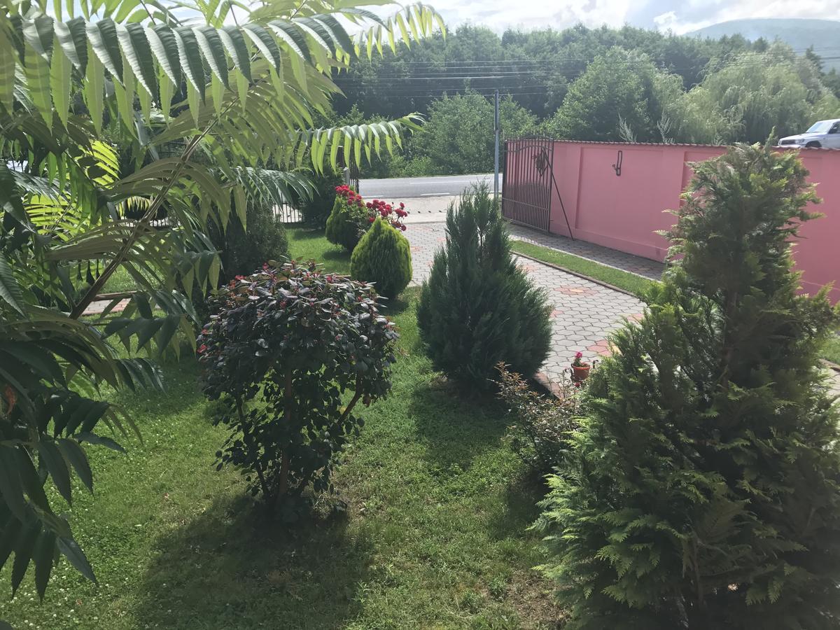 Vila La Izvor Petresti Exterior foto
